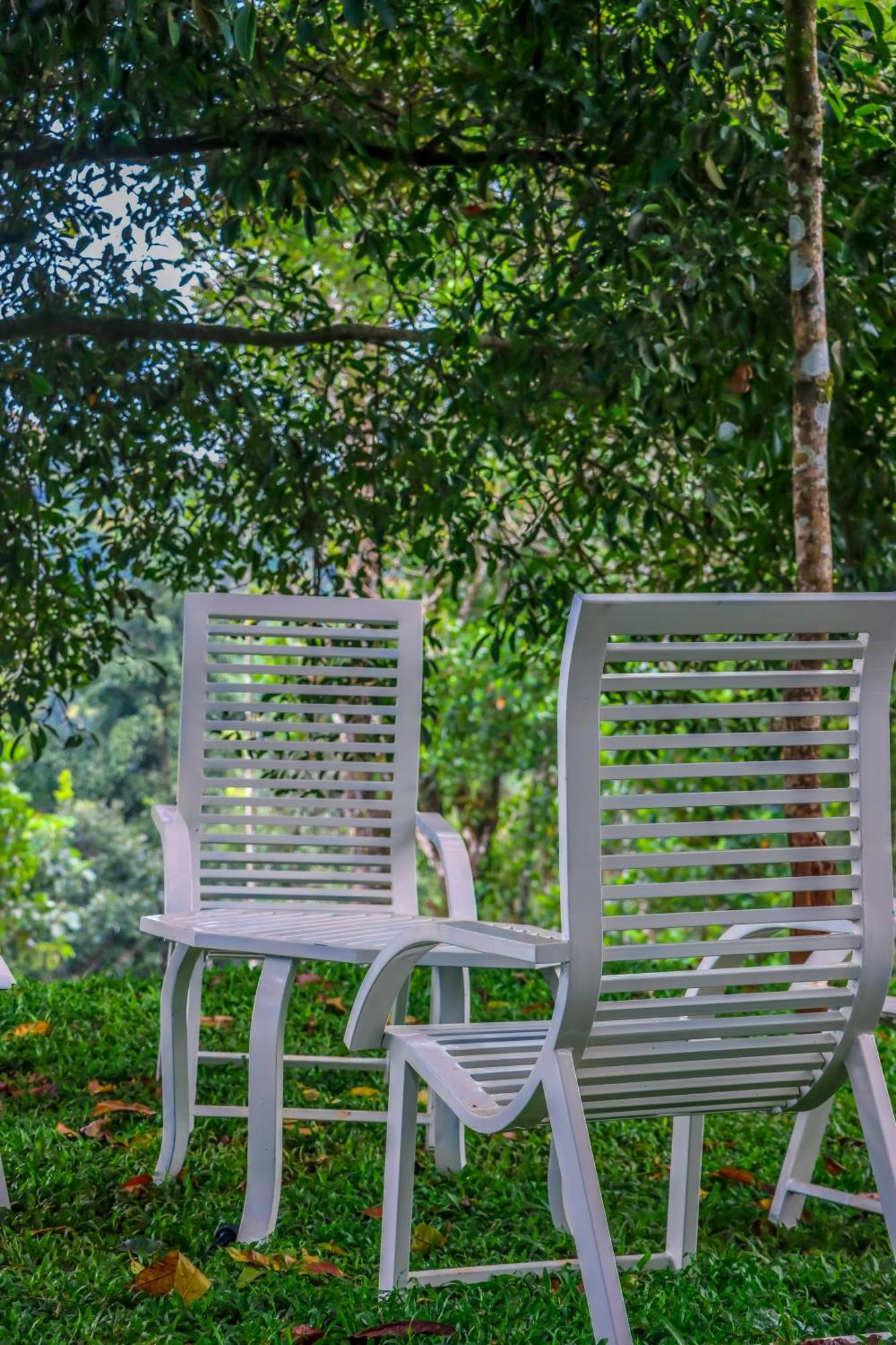 Winter Note Resorts Munnar Εξωτερικό φωτογραφία